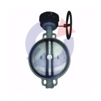 Затвор поворот чуг EPDM Ду350 Ру16 ред д/чуг R59W Giacomini R59WX035