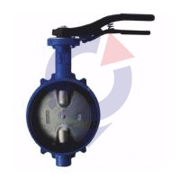 Затвор поворот чуг EPDM Ду65 Ру16 д/нерж R59W Giacomini R59WY006