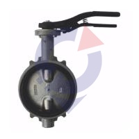 Затвор поворот чуг EPDM Ду200 Ру16 д/чуг R59W Giacomini R59WX020