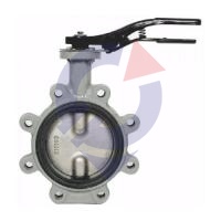 Затвор поворот чуг EPDM Ду150 Ру16 р/проуш д/чуг R59FL Giacomini R59FLX015